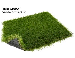 Turfgras Yanda  Rasen / Gras